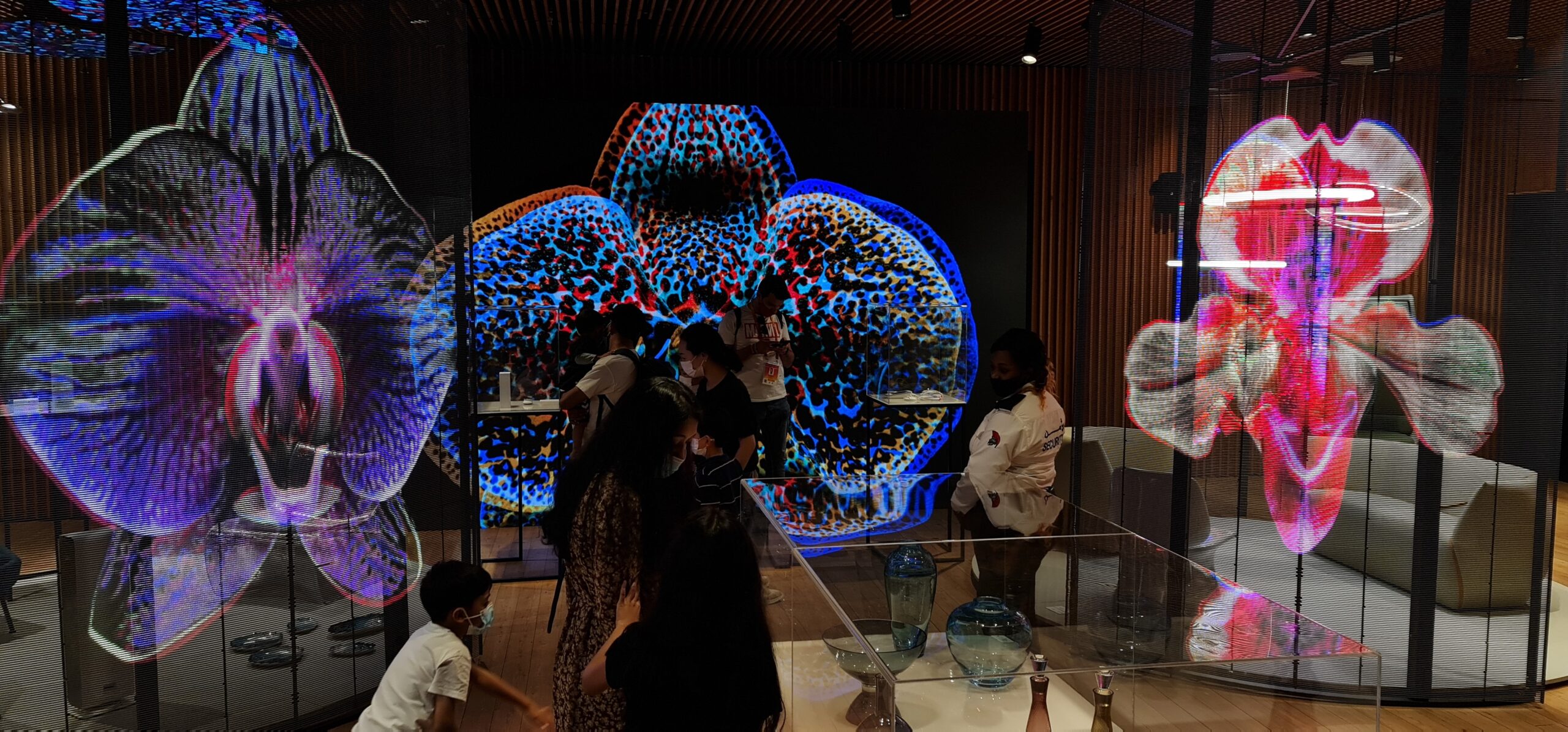 Kolorowe orchidee wyświetlane na transparentnych ekranach LED na Expo Dubai 2020