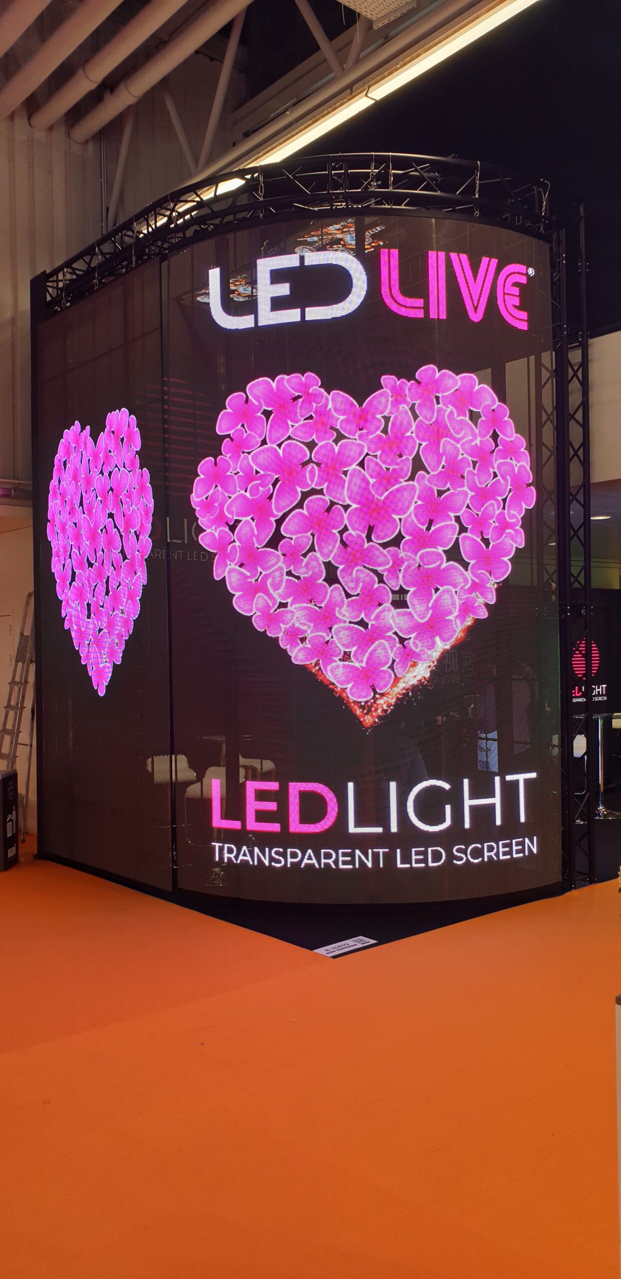 Logo firmy LedLIVE wyświetalające się wraz ze złożonym z różowych motyli sercu na wygiętym transparentnym ekranie led